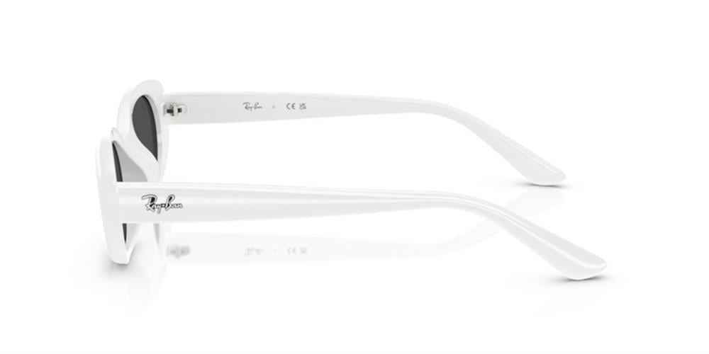 Ray-Ban 0RB4441D 677287 53 Enjeksiyon UNISEX Güneş Gözlüğü