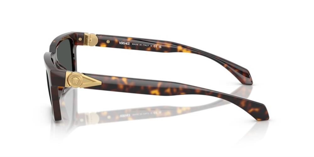 Versace 0VE4490U 108/87 55 Enjeksiyon Erkek Güneş Gözlüğü