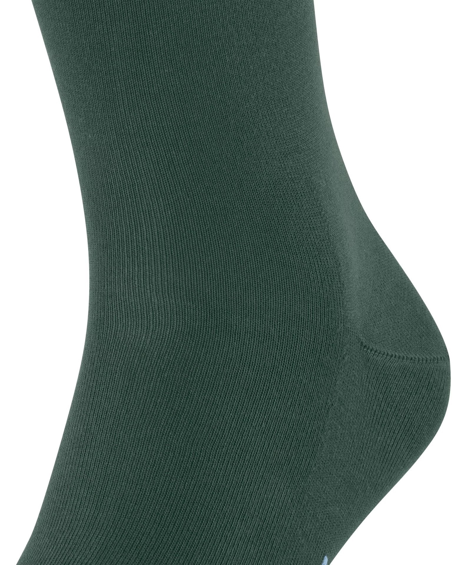 falke-erkek-corap-04-4bc.jpg