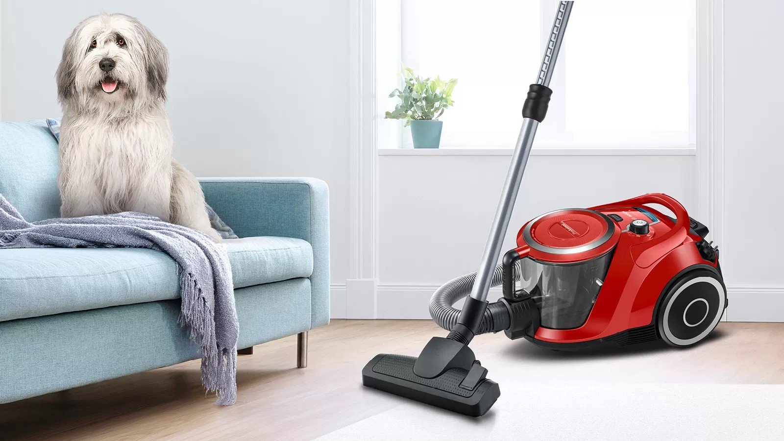 BOSCH BGS41PET1 Serie | 6 Toz torbasız SüpürgeProAnimal Kırmızı