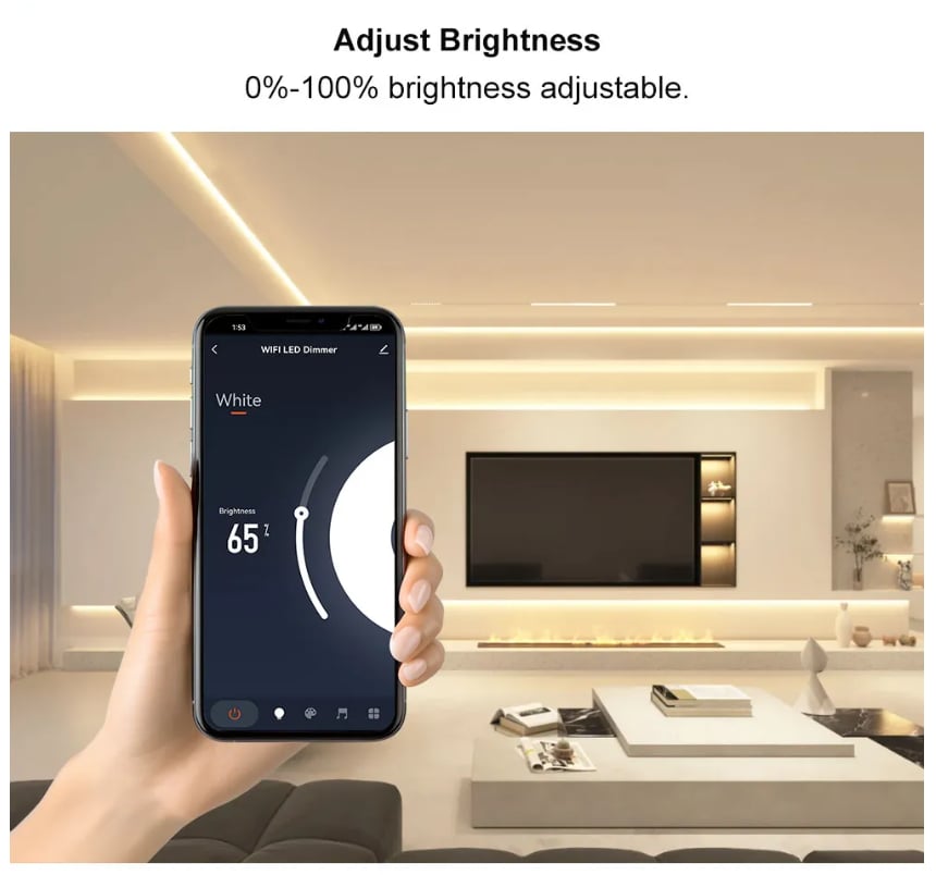  WIFI RF LED DIMMER 12/24V 2x6A