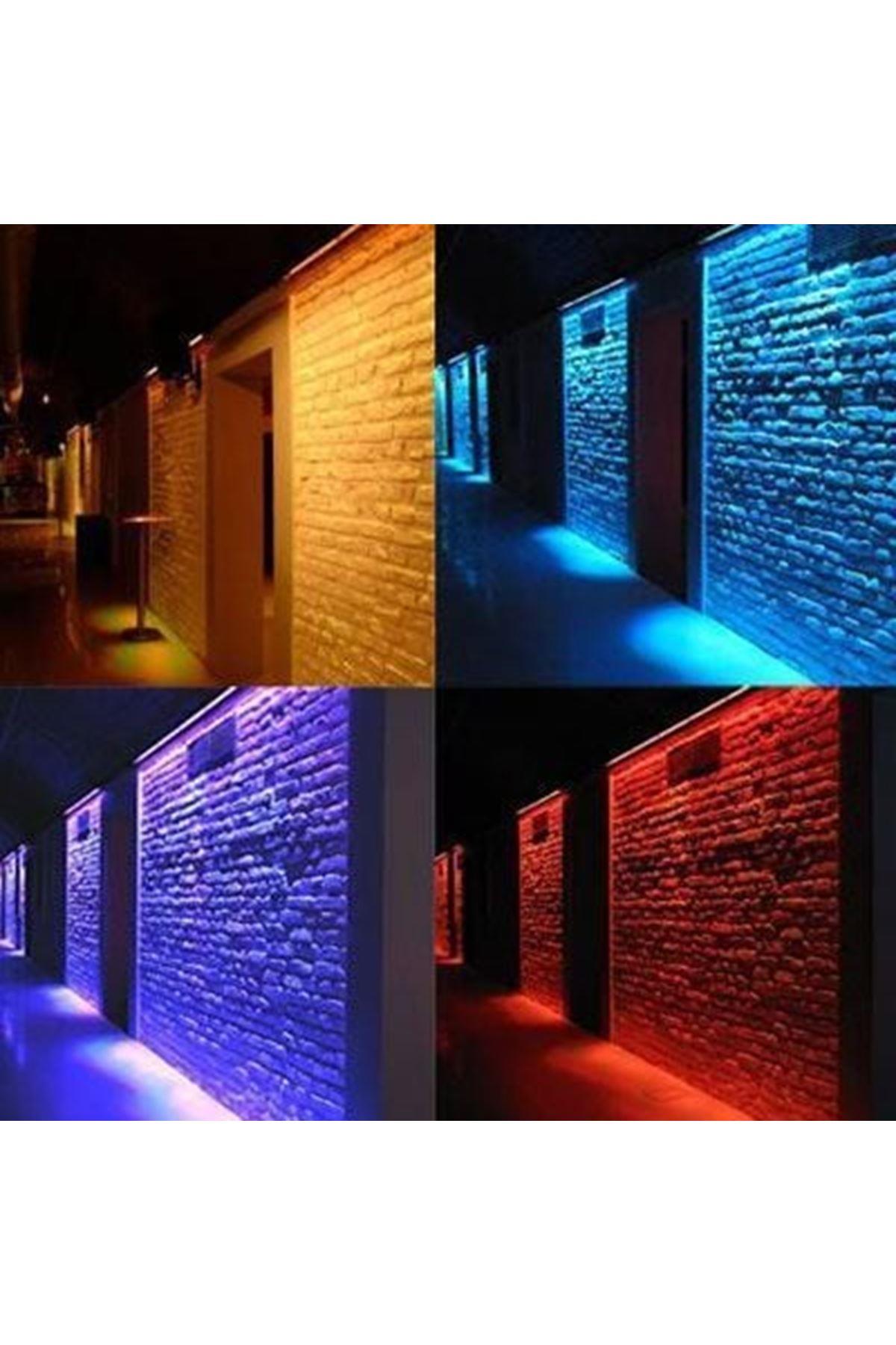LKL-2042 20W/M 42LED/M 24V W20MM*H10MM 30' IP68 Wallwasher