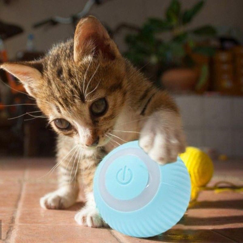 İnteraktif Kedi Köpek Şarjli Oyun Topu