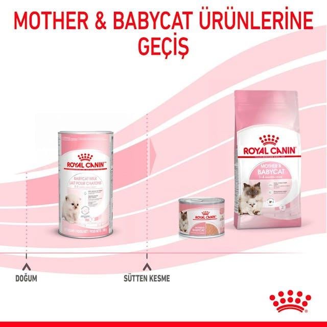 Royal Canin Babycat Milk