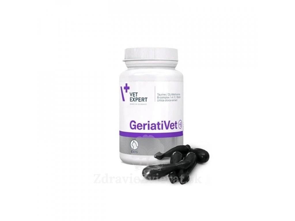 Vet Expert Geriativet Kedi 
