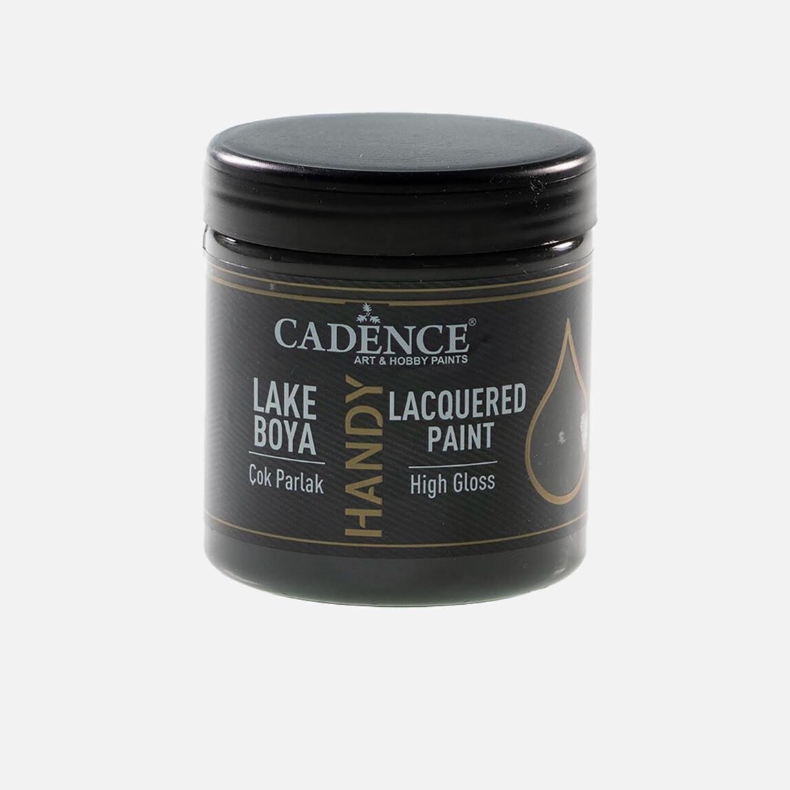 Cadence Handy Lake Boya 059 Antrasit 250ml