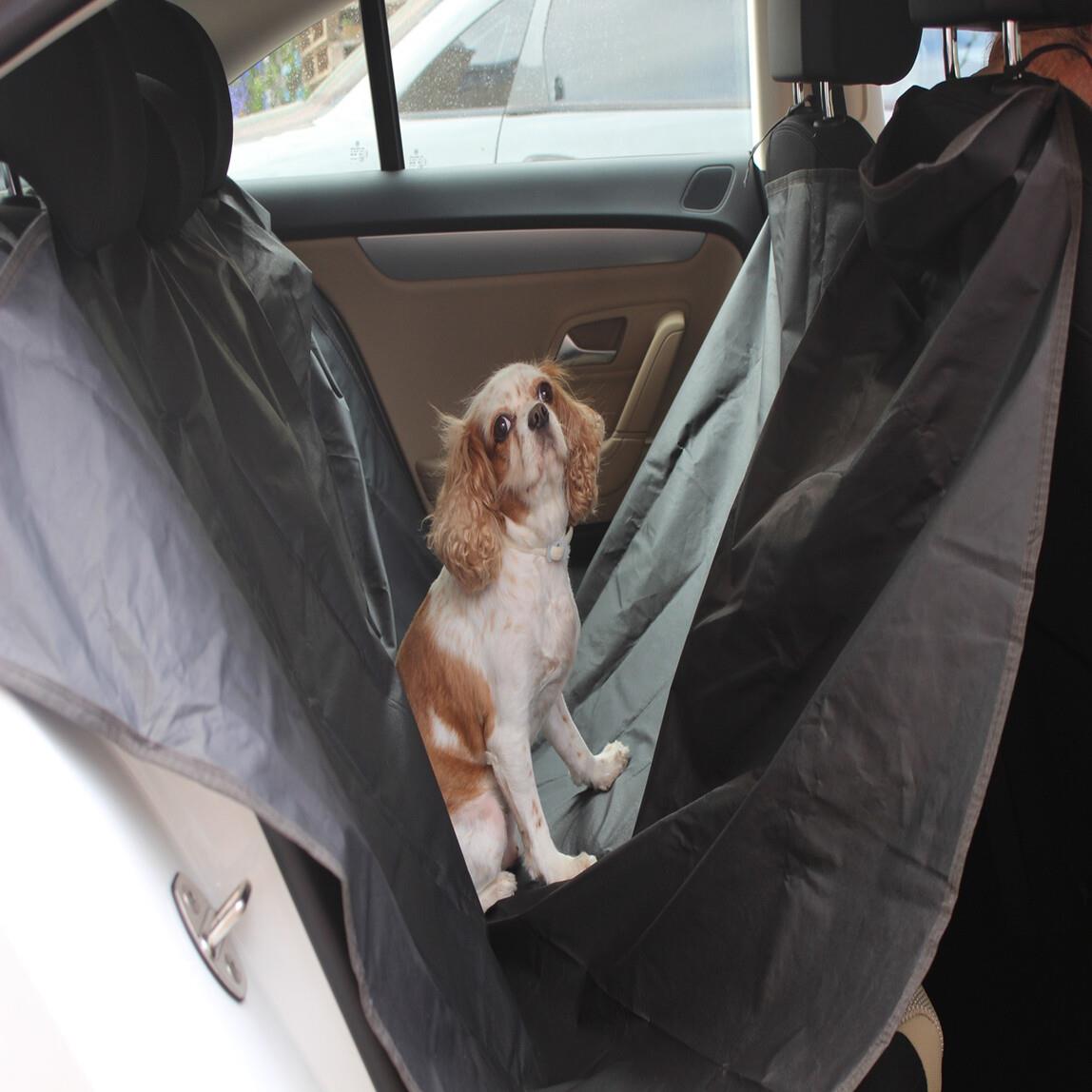 Space Evcil hayvan Örtüsü