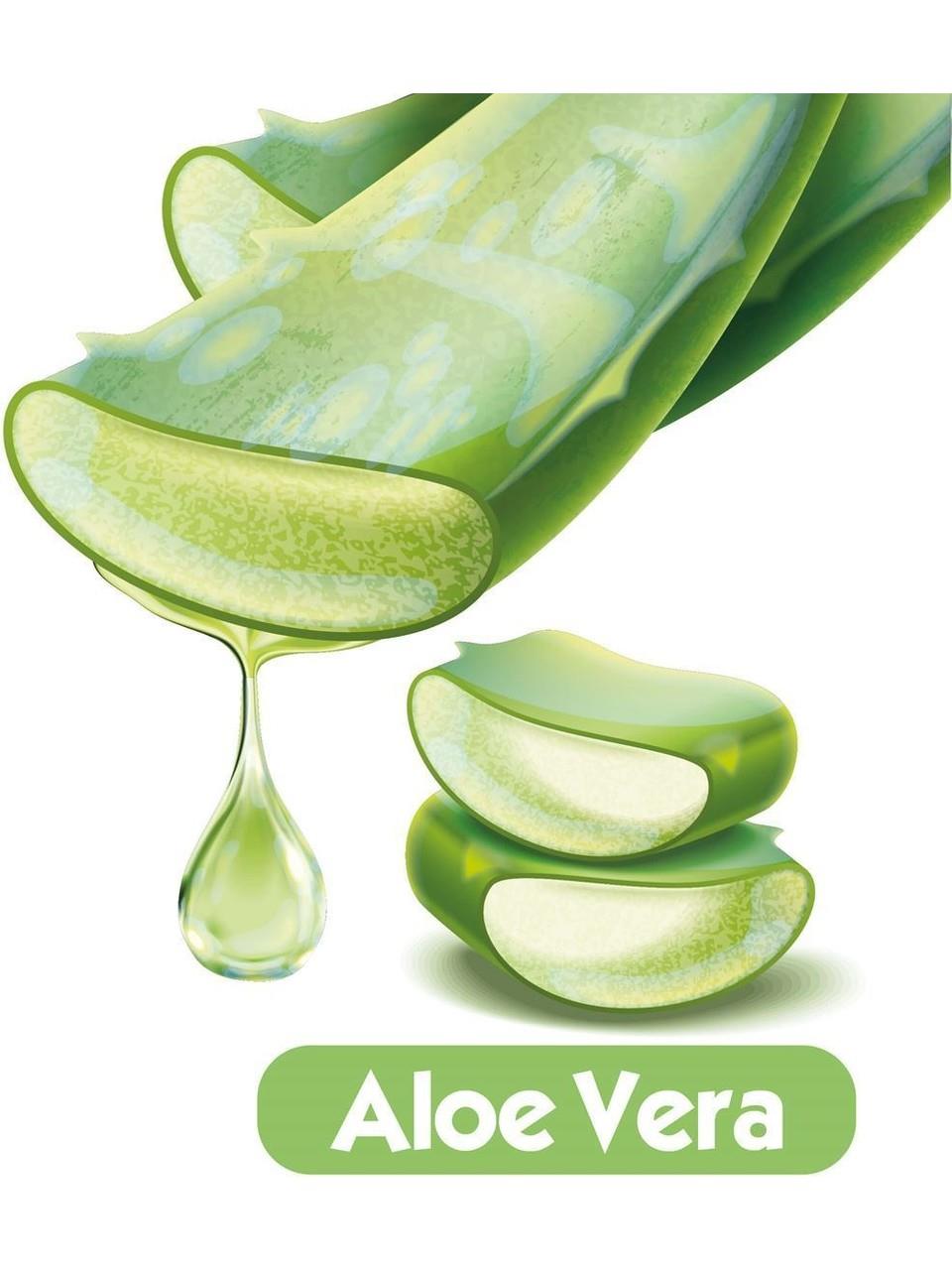 Baby Turco Baby Turco Softcare Aloe Vera Islak Bebek Havlusu 12x90 1080 Yaprak