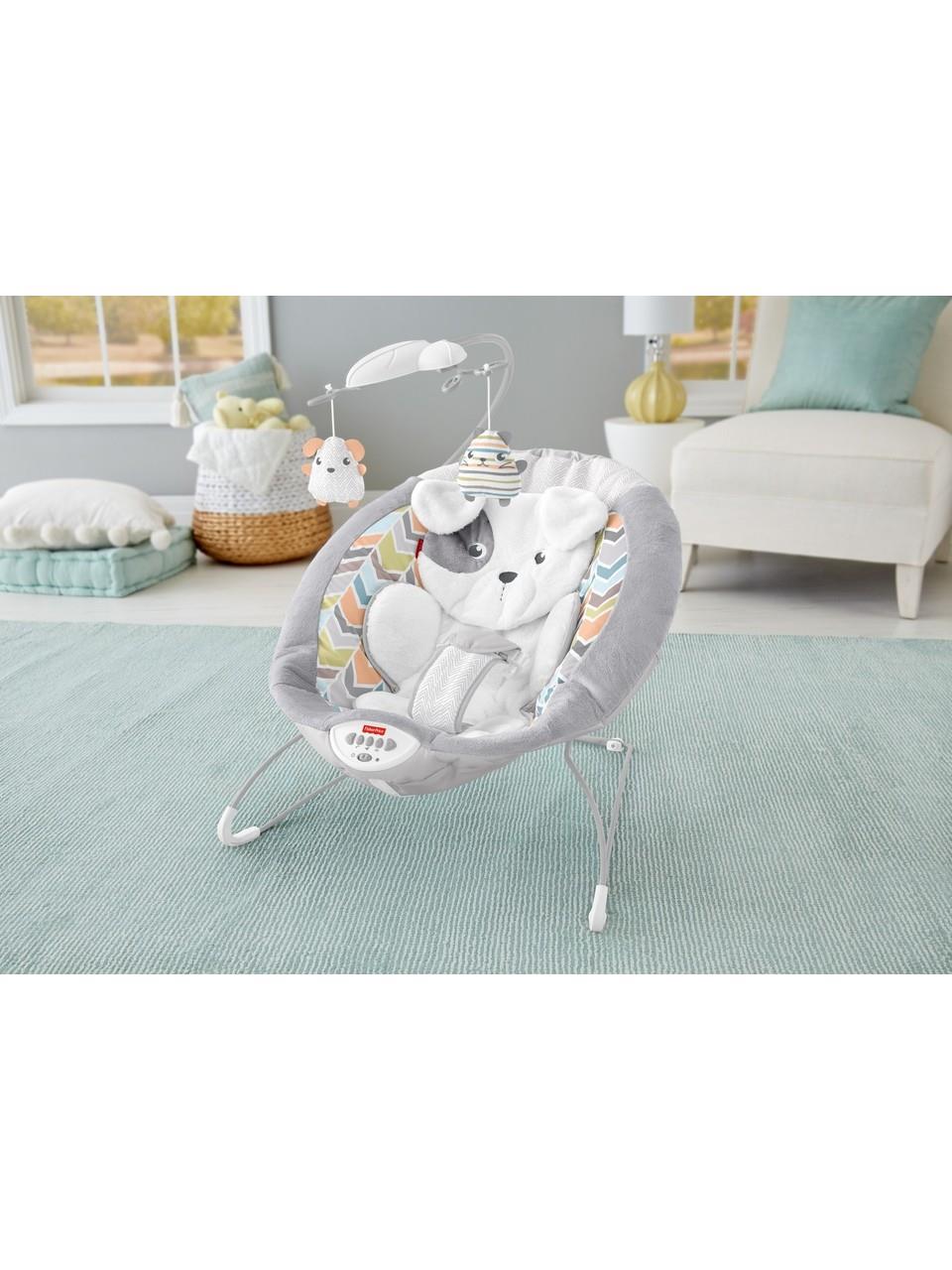 Fisher-Price Sweet Snugapuppy Delüks Ana Kucağı GWD50