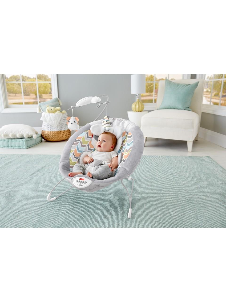 Fisher-Price Sweet Snugapuppy Delüks Ana Kucağı GWD50
