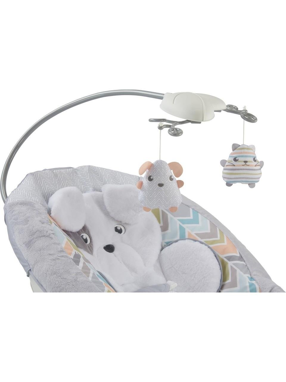 Fisher-Price Sweet Snugapuppy Delüks Ana Kucağı GWD50