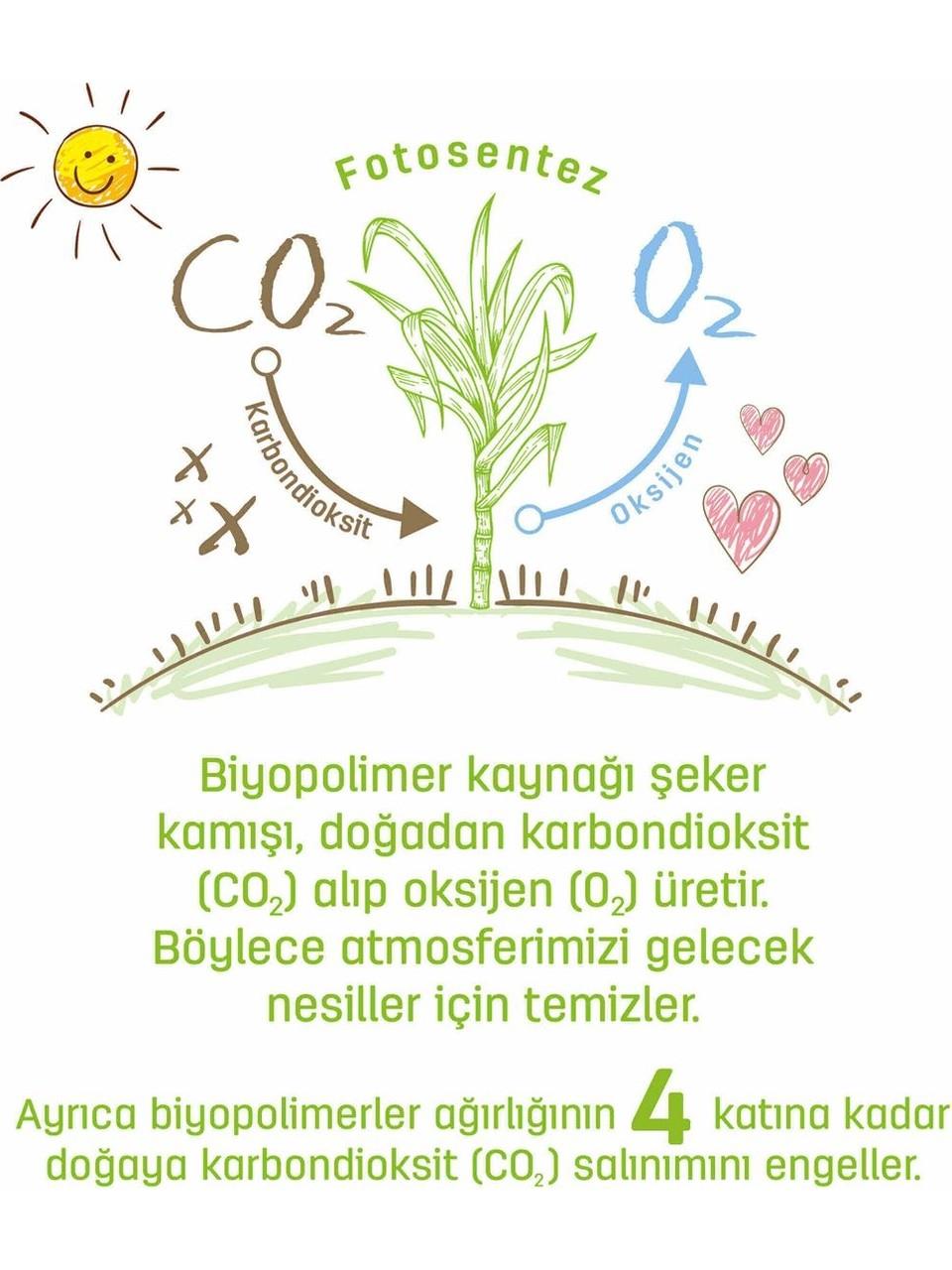 Sleepy Bio Natural Islak Havlu 12 x 40 (480 Yaprak)