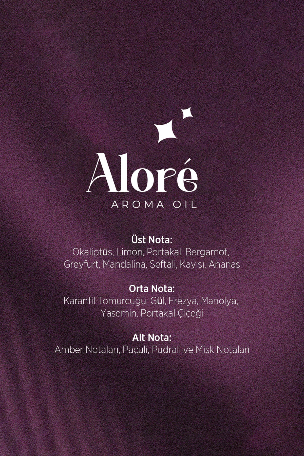 Alore Koku Kartuşu 200 ML
