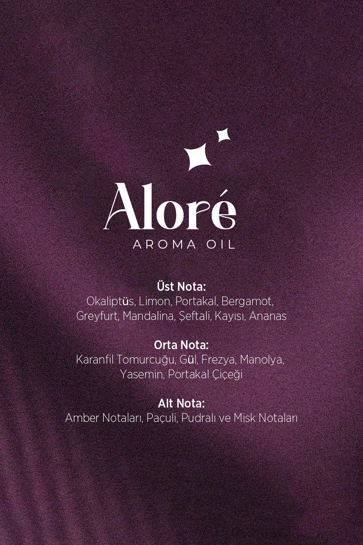 Alore Koku Makinesi Esansı 5 Litre