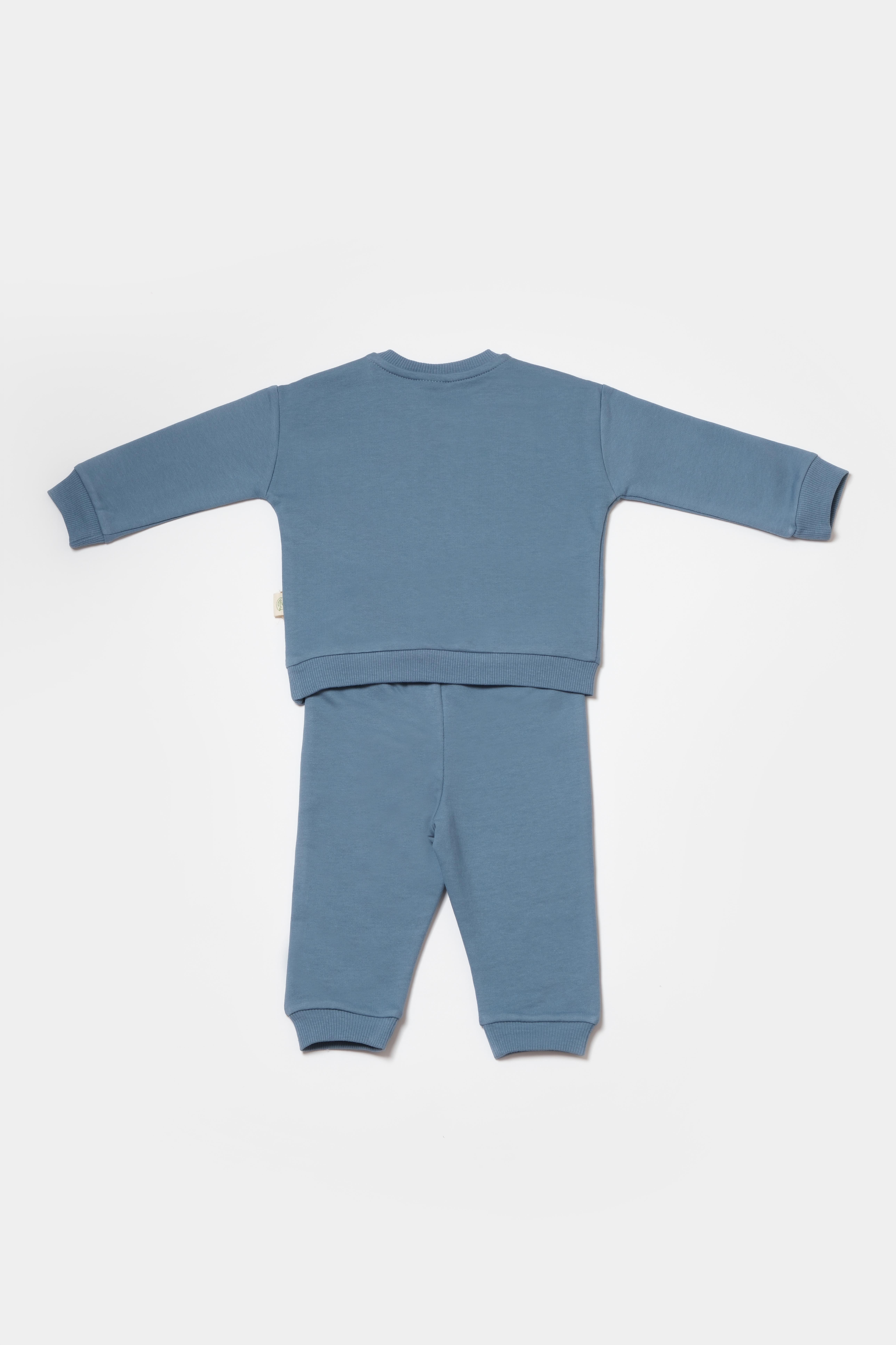 BabyCosy Erke Bebek Ayıcık BaskılıTakım  3-24 Ay Mavi