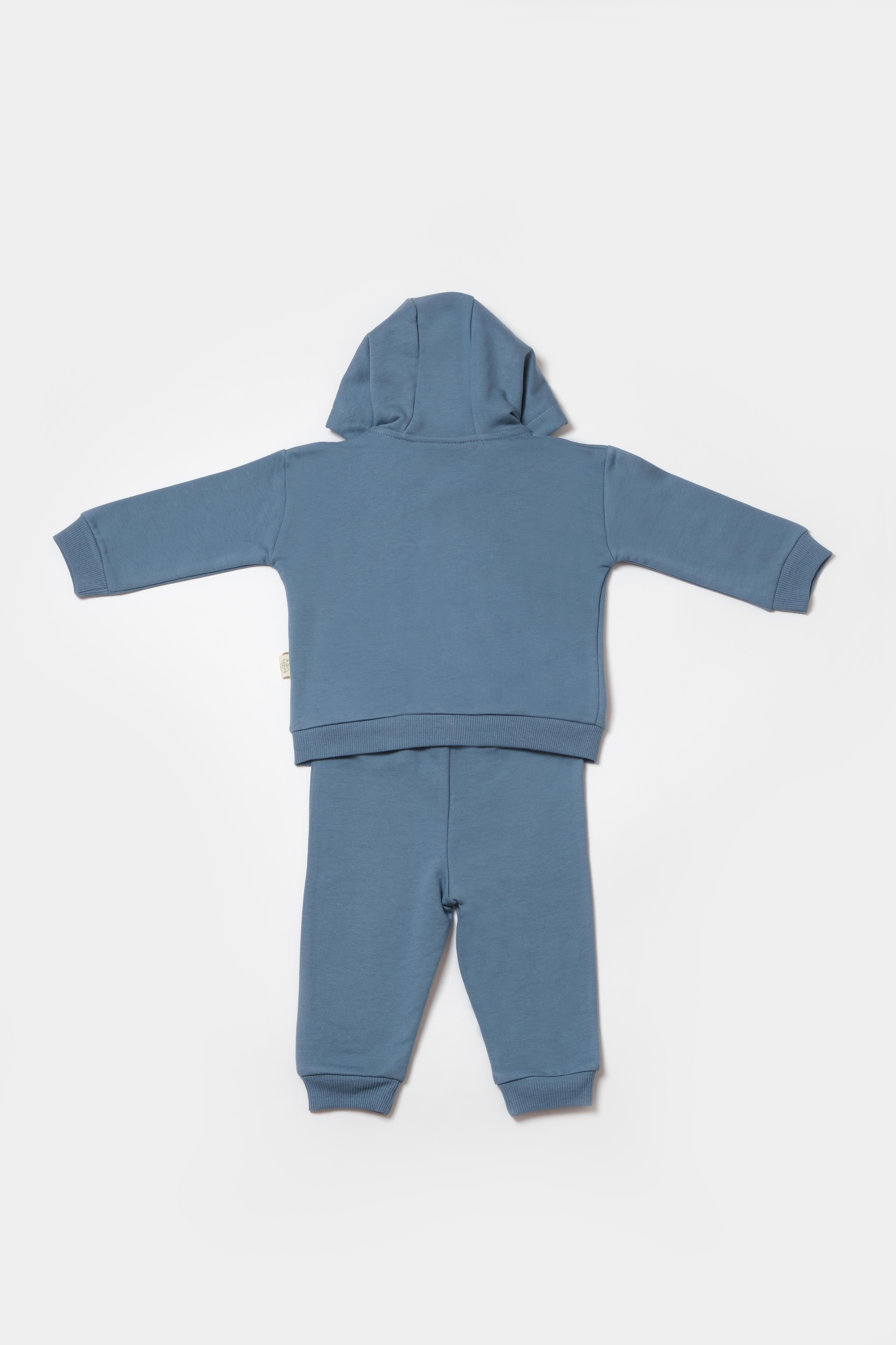 BabyCosy Erkek Bebek Ayıcık Baskılı Fermuarlı Takım  3-24 Ay Mavi