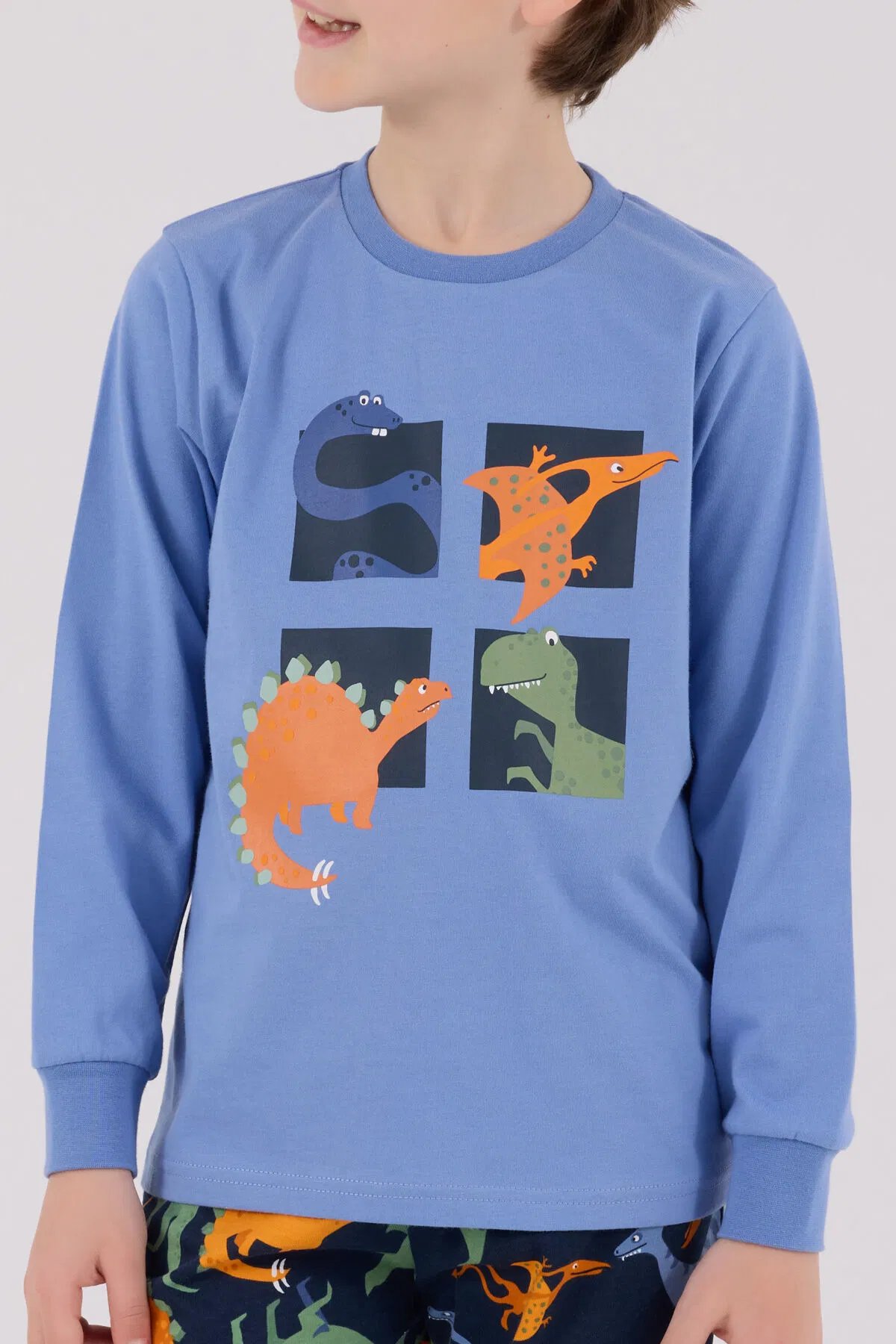 Rolypoly Erkek Çocuk Pijama Takım 2-8 Yaş Mavi