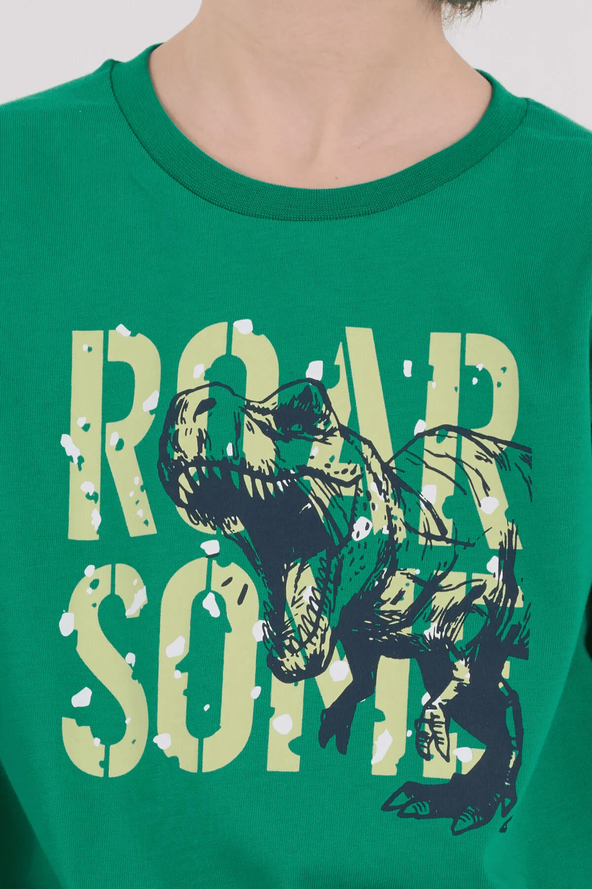 Rolypoly Erkek Çocuk Pijama Takım 2-8 Yaş Yeşil