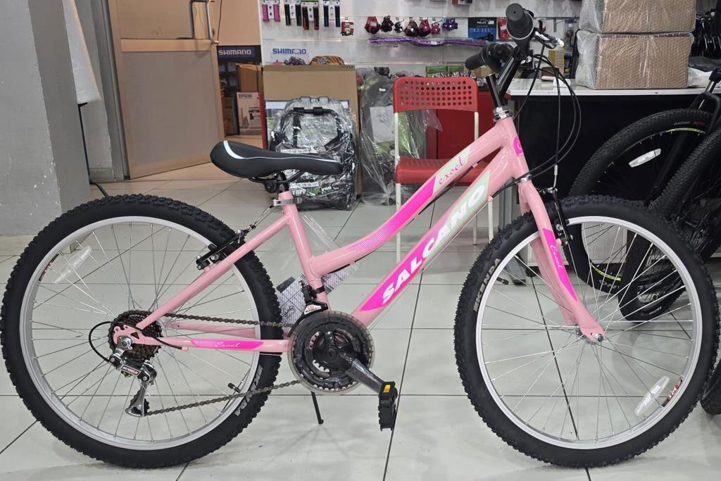 Salcano Excel 24 Lady Genç Kız Bisikleti (140 / 160 cm arası boy)
