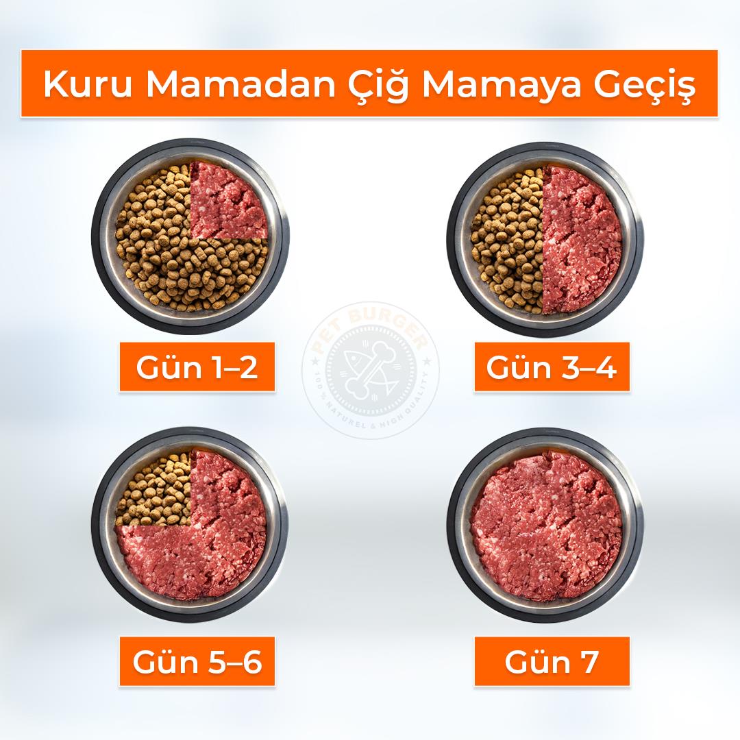 Catburger Tanışma Paketi