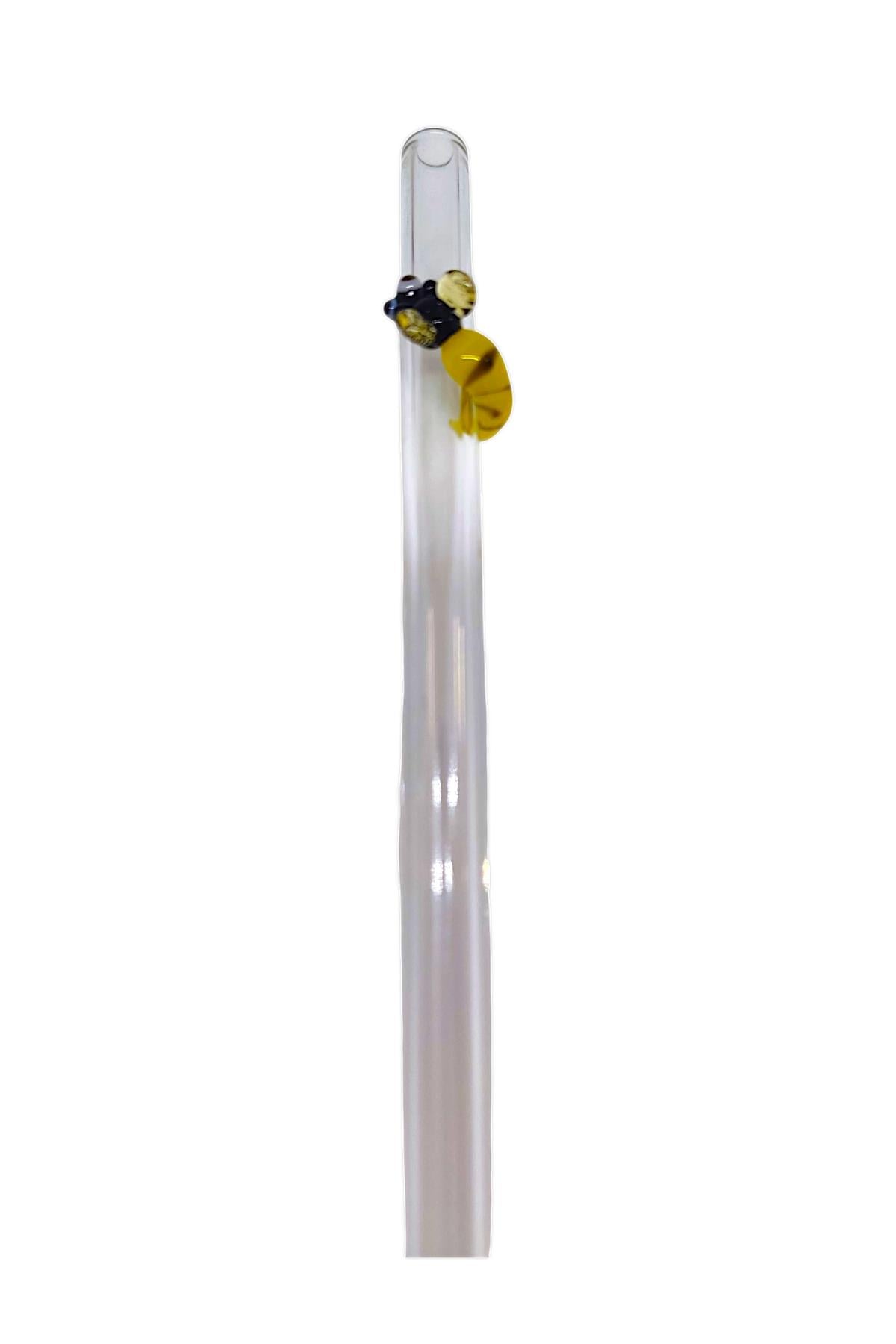 Cam Pipet (Arı)
