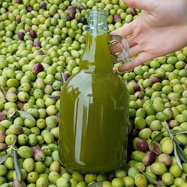 TAŞ BASKI ZEYTİNYAĞI