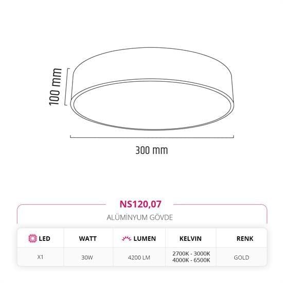 Nevo 30 Cm Sıva Üstü Ledli Tavan Armatürü Gold NS120
