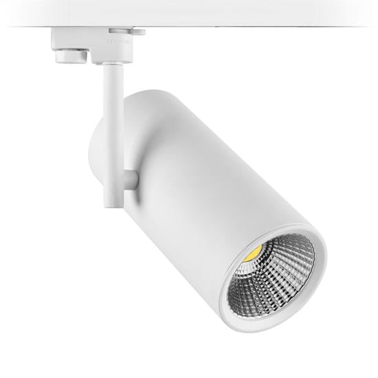Nevo Dekoratif Ray Spot Beyaz NR260-3