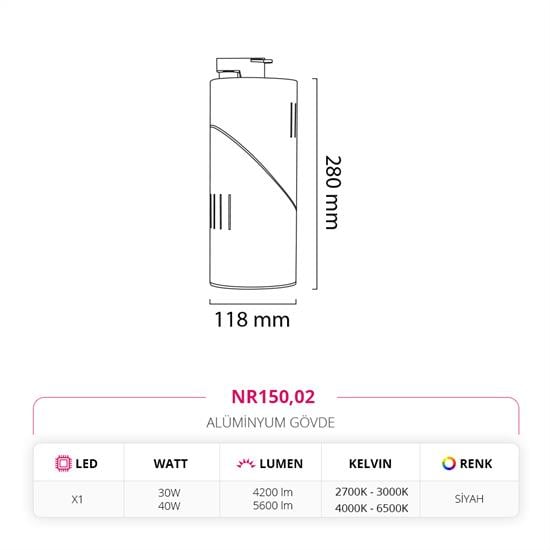 Nevo Dekoratif Ray Spot Siyah NR150