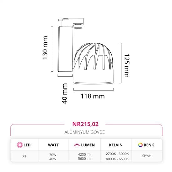 Nevo Dekoratif Ray Spot Siyah NR215