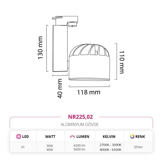 Nevo Dekoratif Ray Spot Siyah NR225