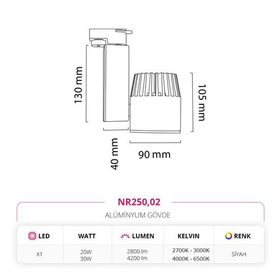 Nevo Dekoratif Ray Spot Siyah NR250