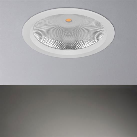 Nevo Sıva Altı Led Spot Beyaz ND1003-5