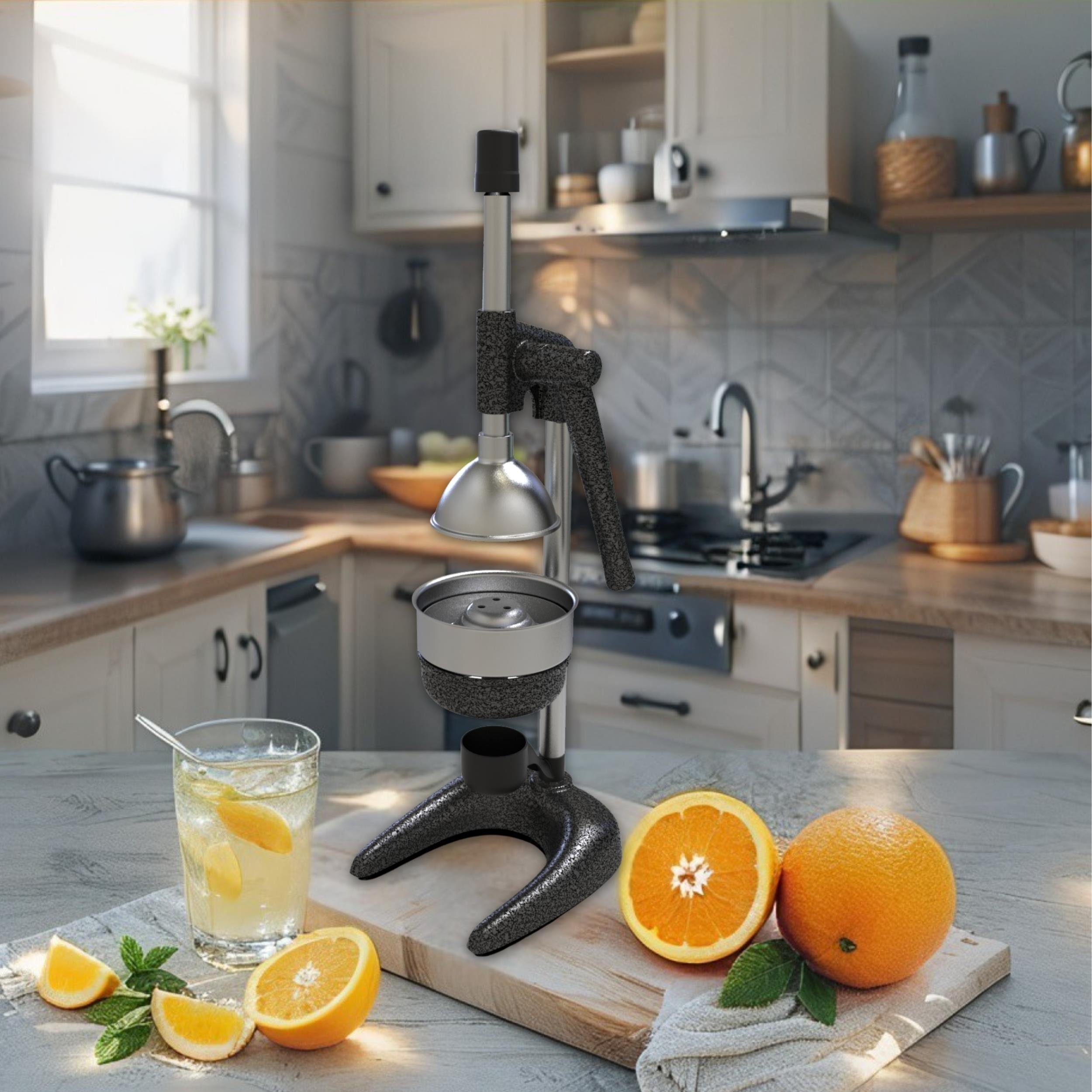 1707 MEYVE PRESİ (INDUSTRIAL TYPE FRUIT PRESS)