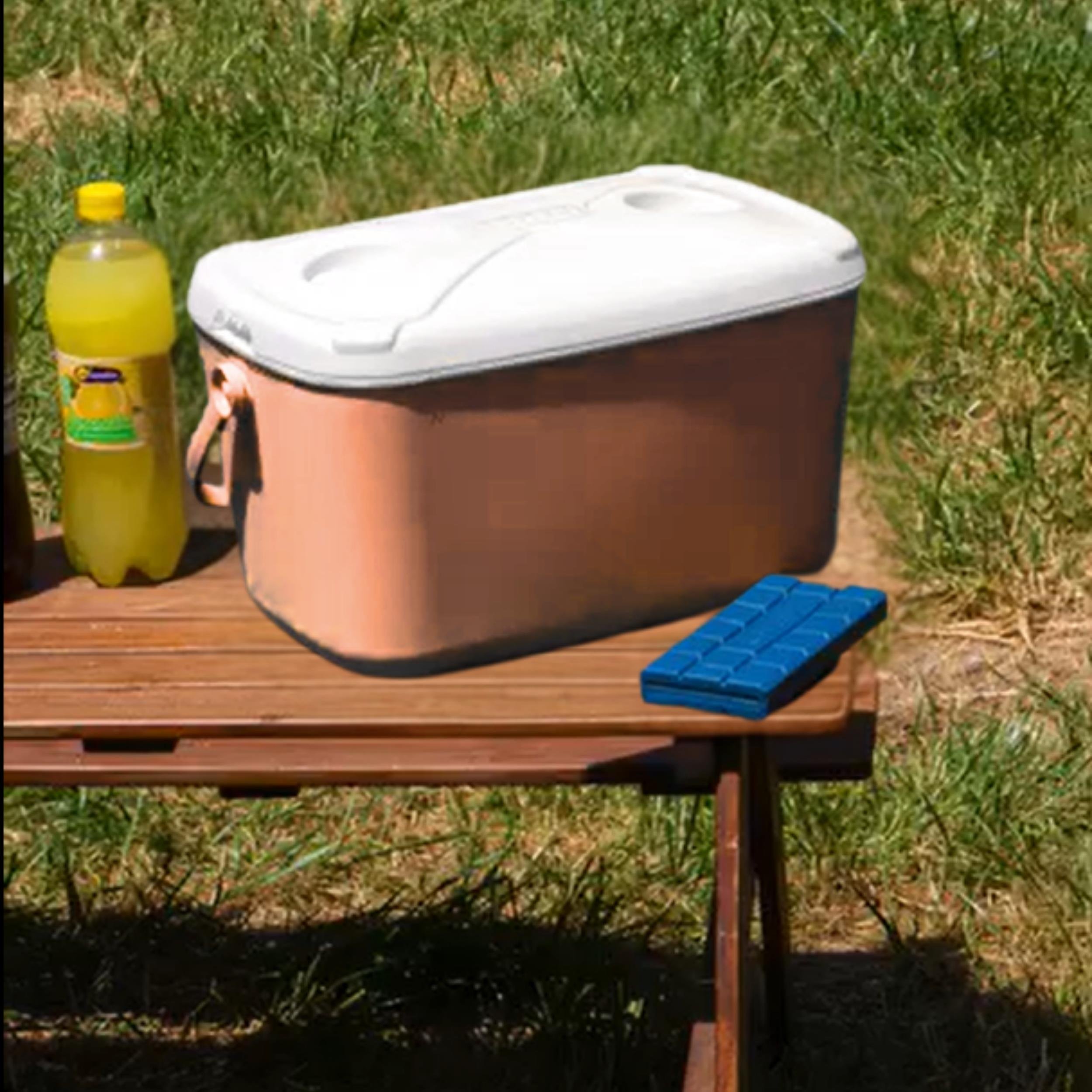 20 Lt Buzzy Buzluk Termos (1179 Cooler Box)