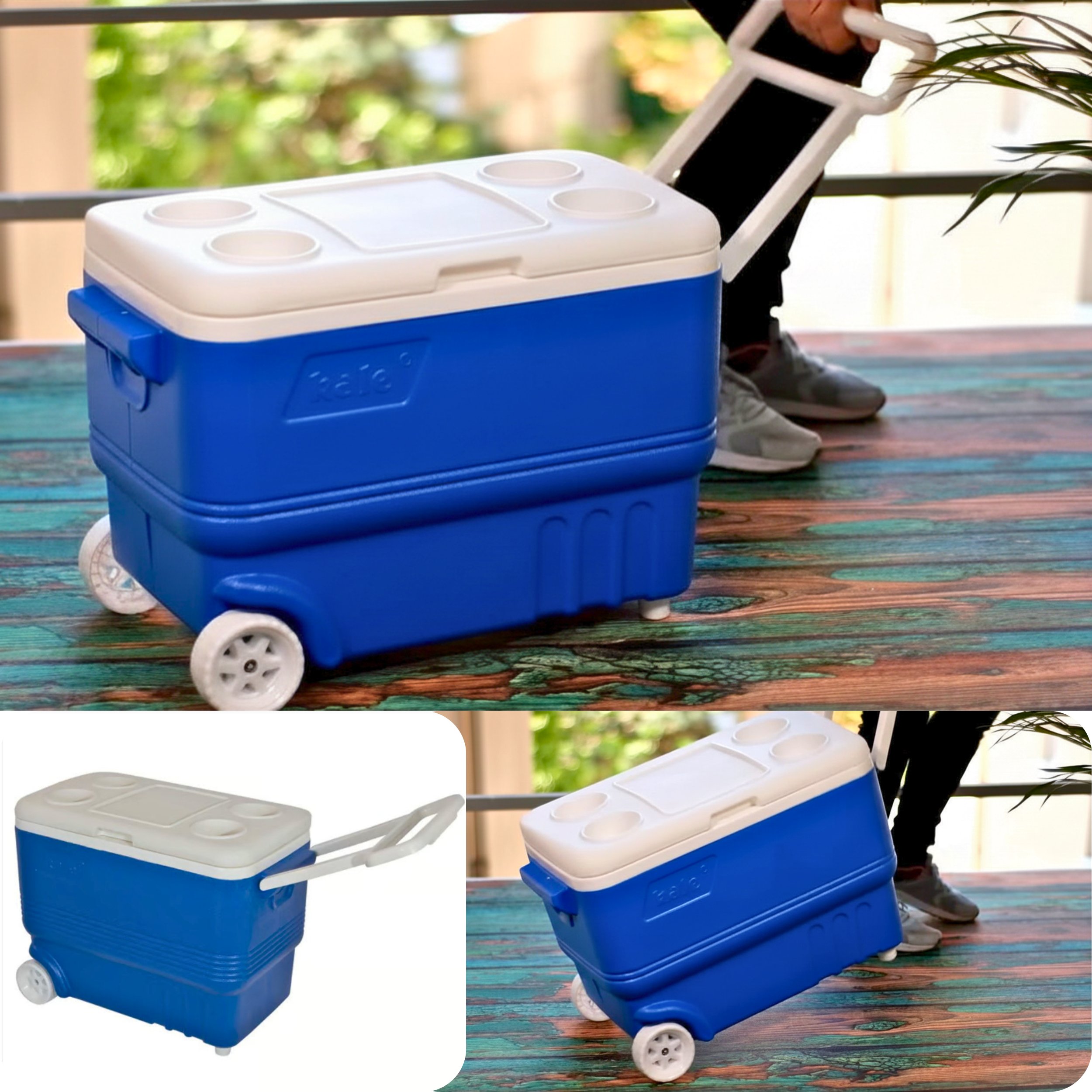 38 Lt Tekerlekli Buzluk Termos (1030 Wheled Cooler Box) 
