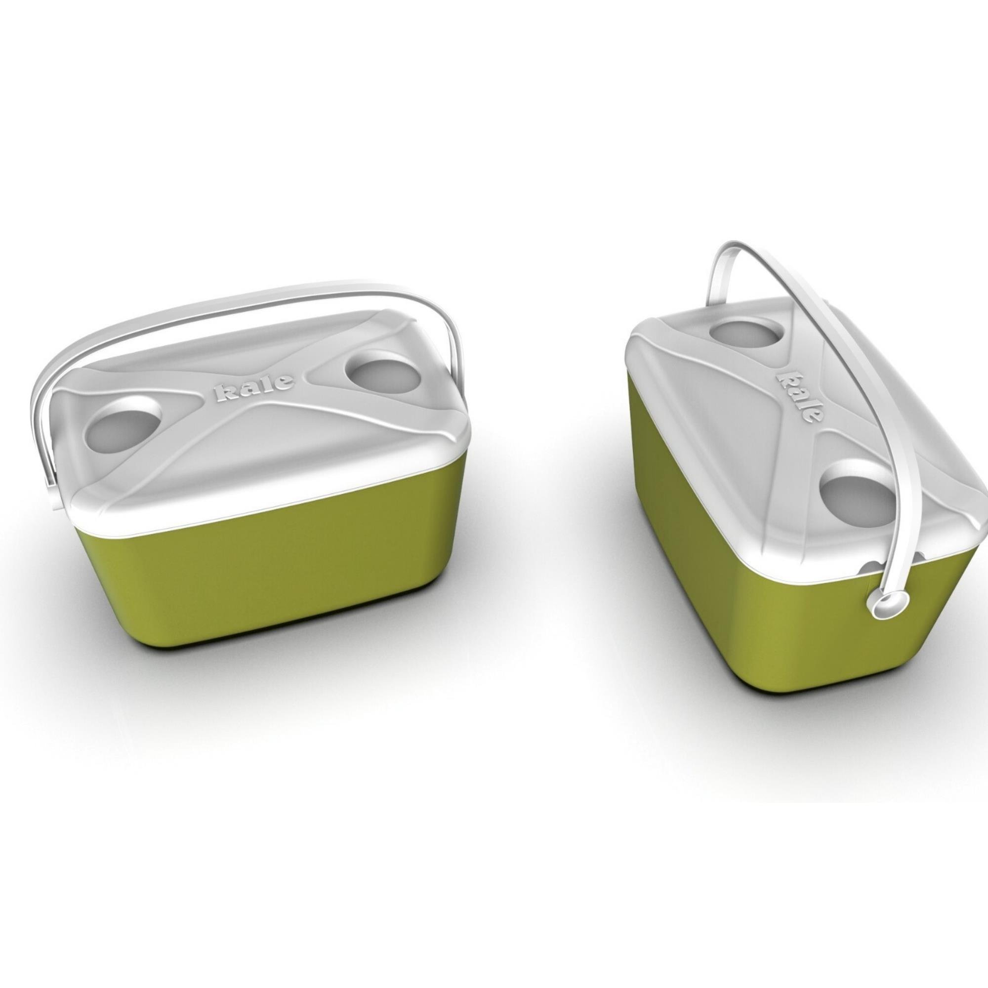 Buzluk Termos  Set-10 Lt Buzzy Buzluk Termos (1180 Cooler Box)+ 7 Lt İzolasyonlu Çanta