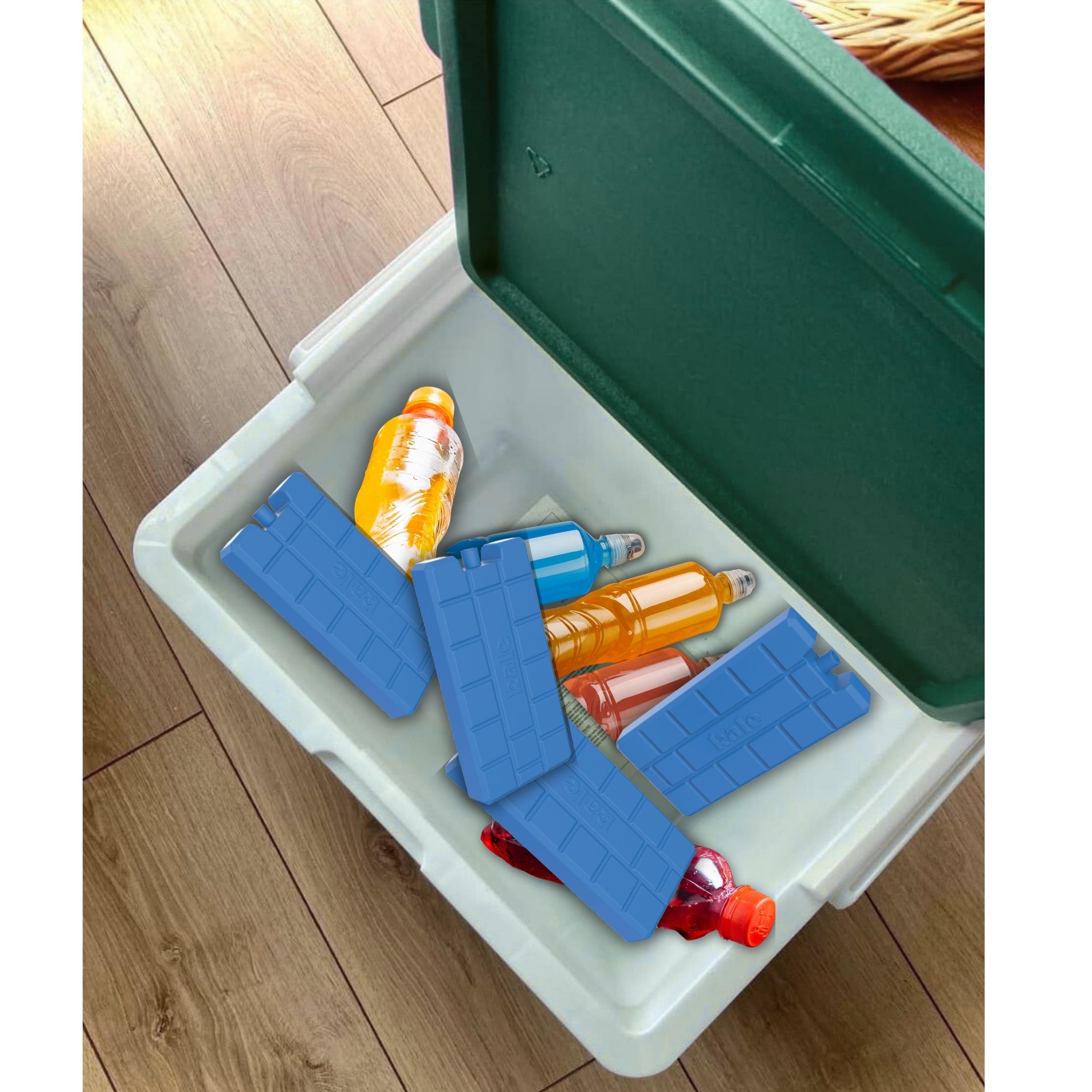 Buzluk Termos  Set-25 Lt Buzluk Termos Eps (1066 Coolerbox) +2 Adet K-250 Buz Aküsü 