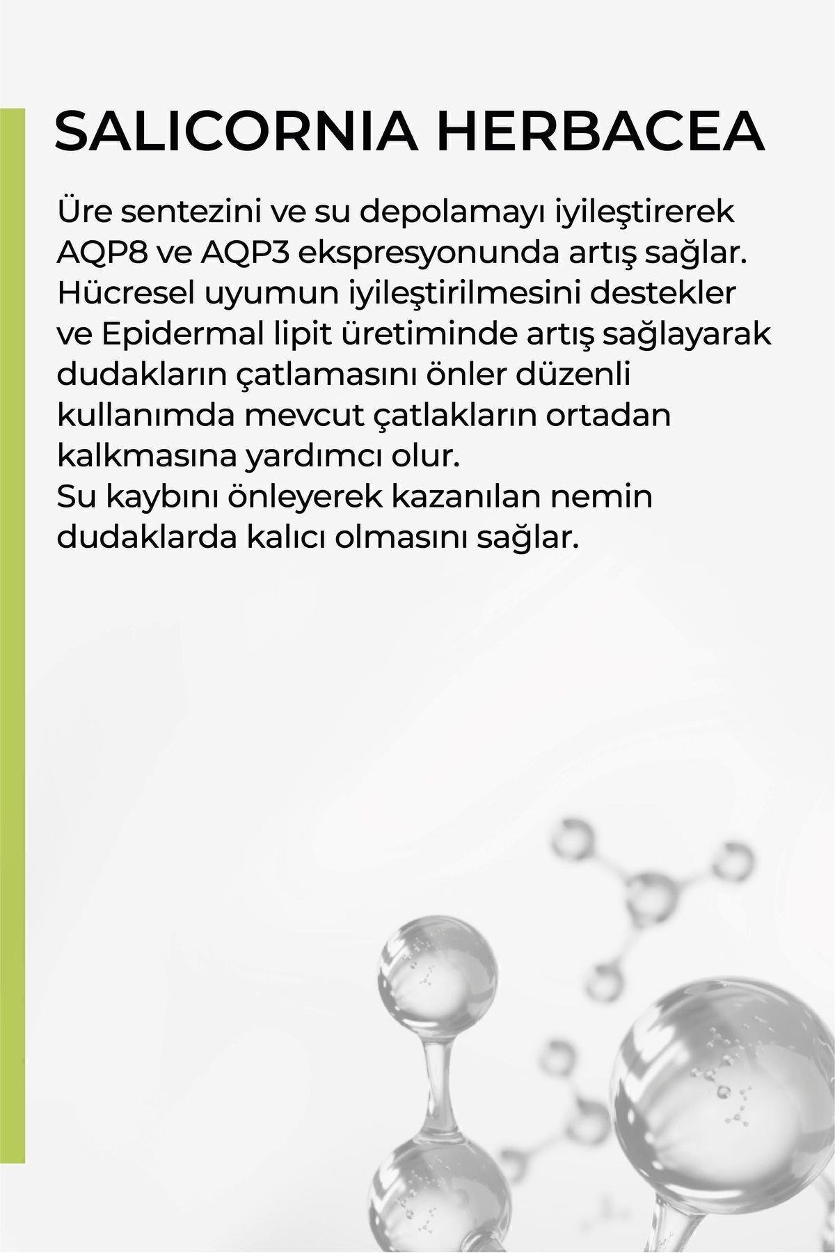 Nane Aromalı Dudak Koruyucu, Onarıcı Ve Nemlendirici Balm 10 Spf - 15g