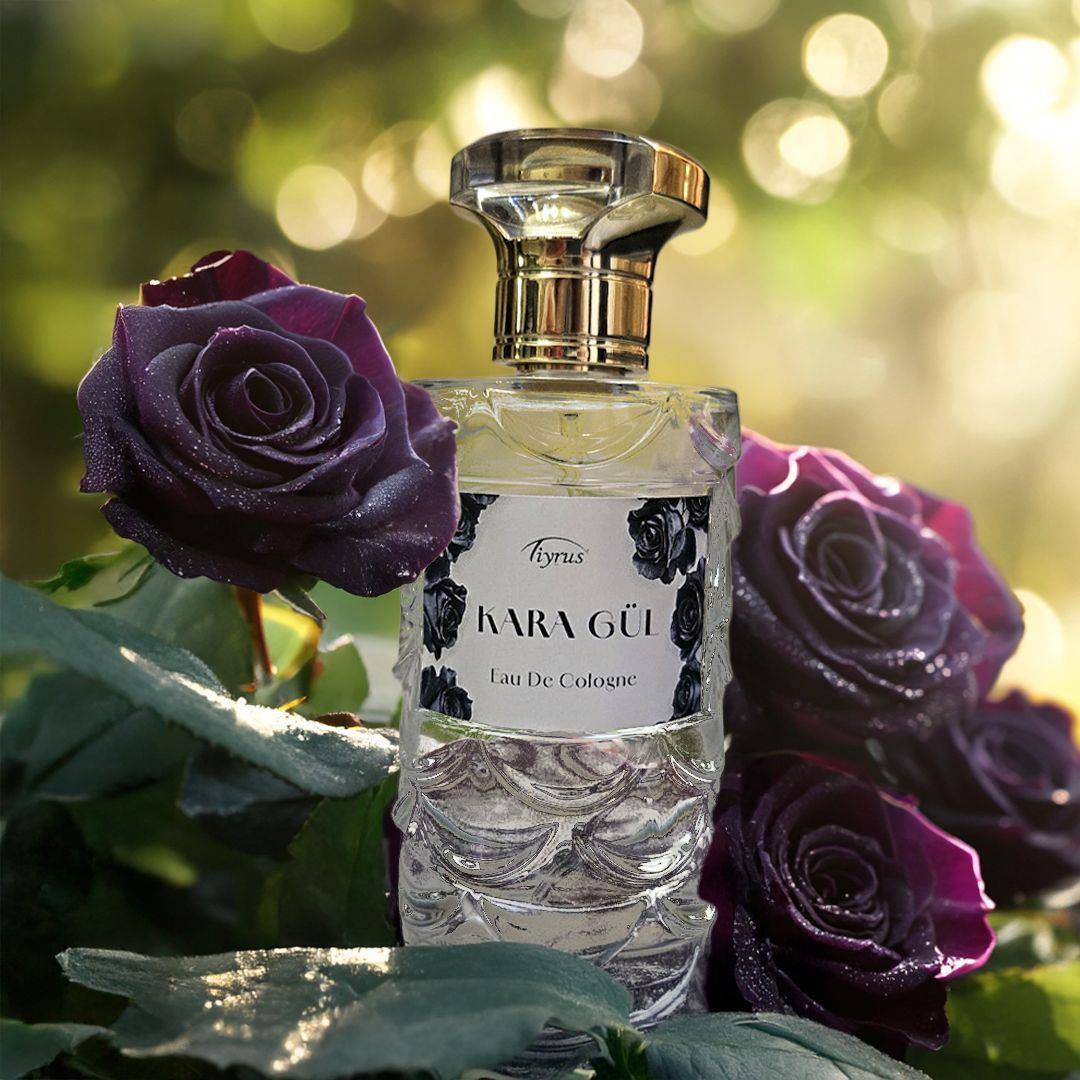 Kara Gül Kolonyası