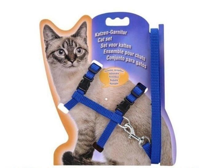 KEDİ GEZDİRME TASMASI MAVİ