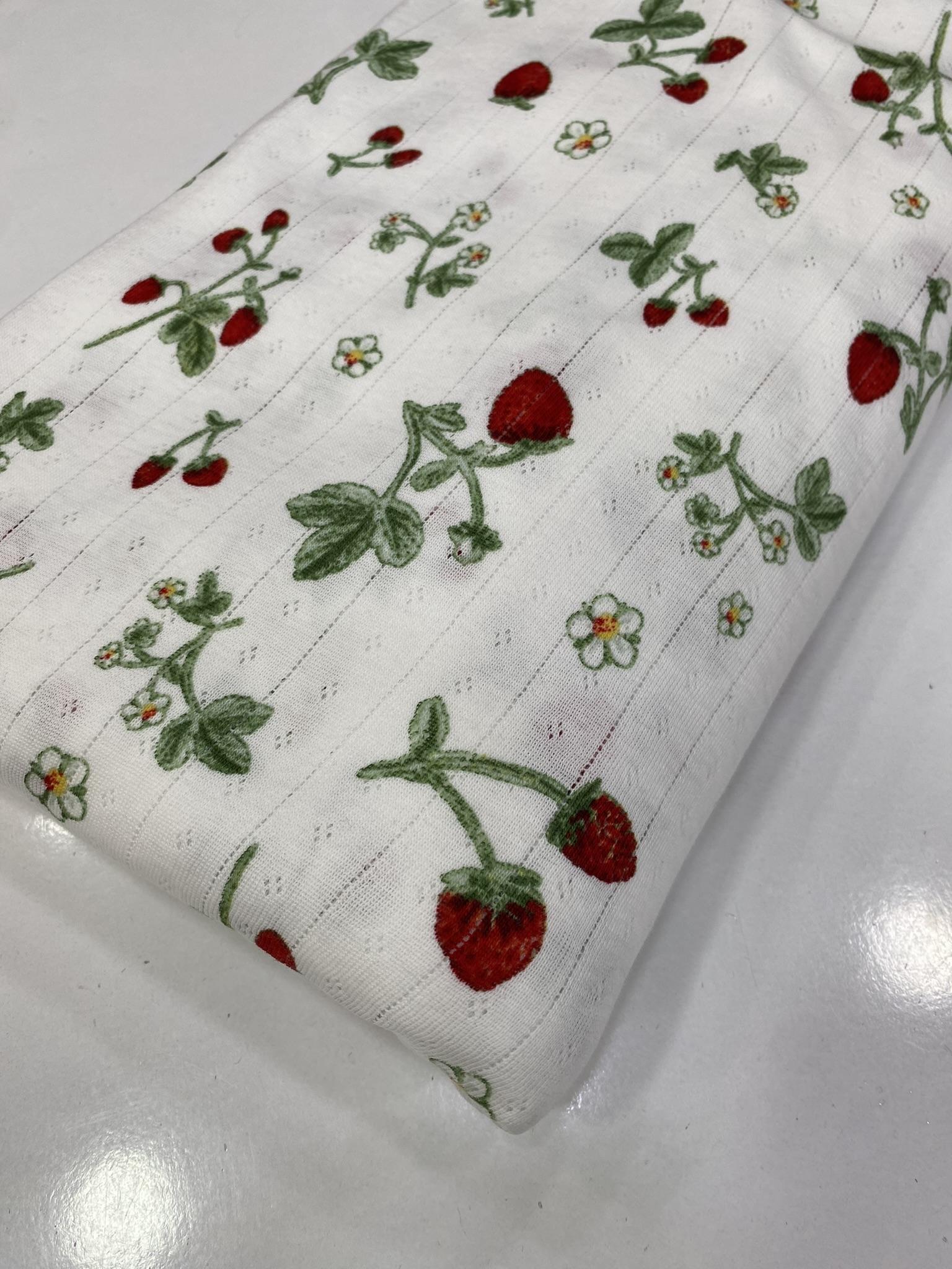 Dağ çileği transfer penye