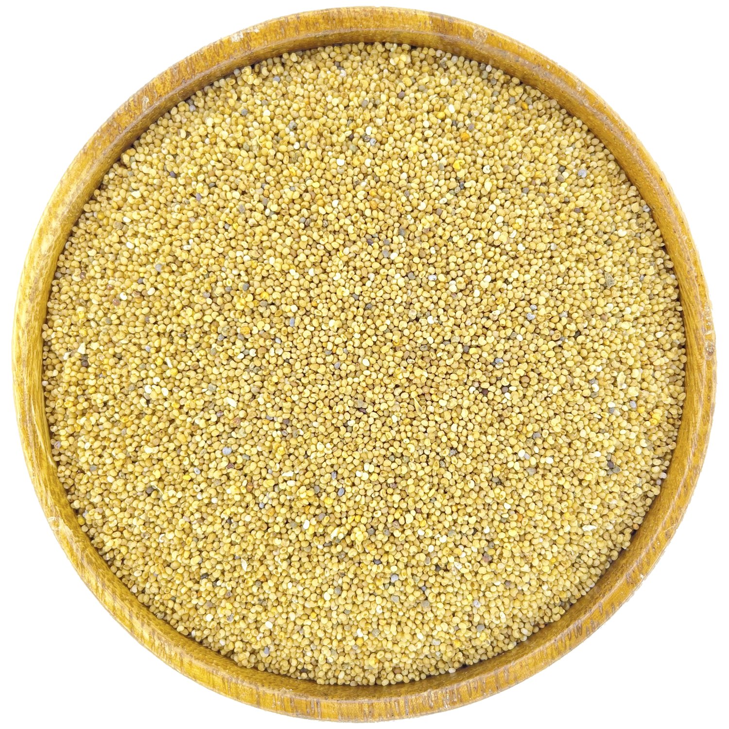 sari-hashas-tohumu-35029f.png