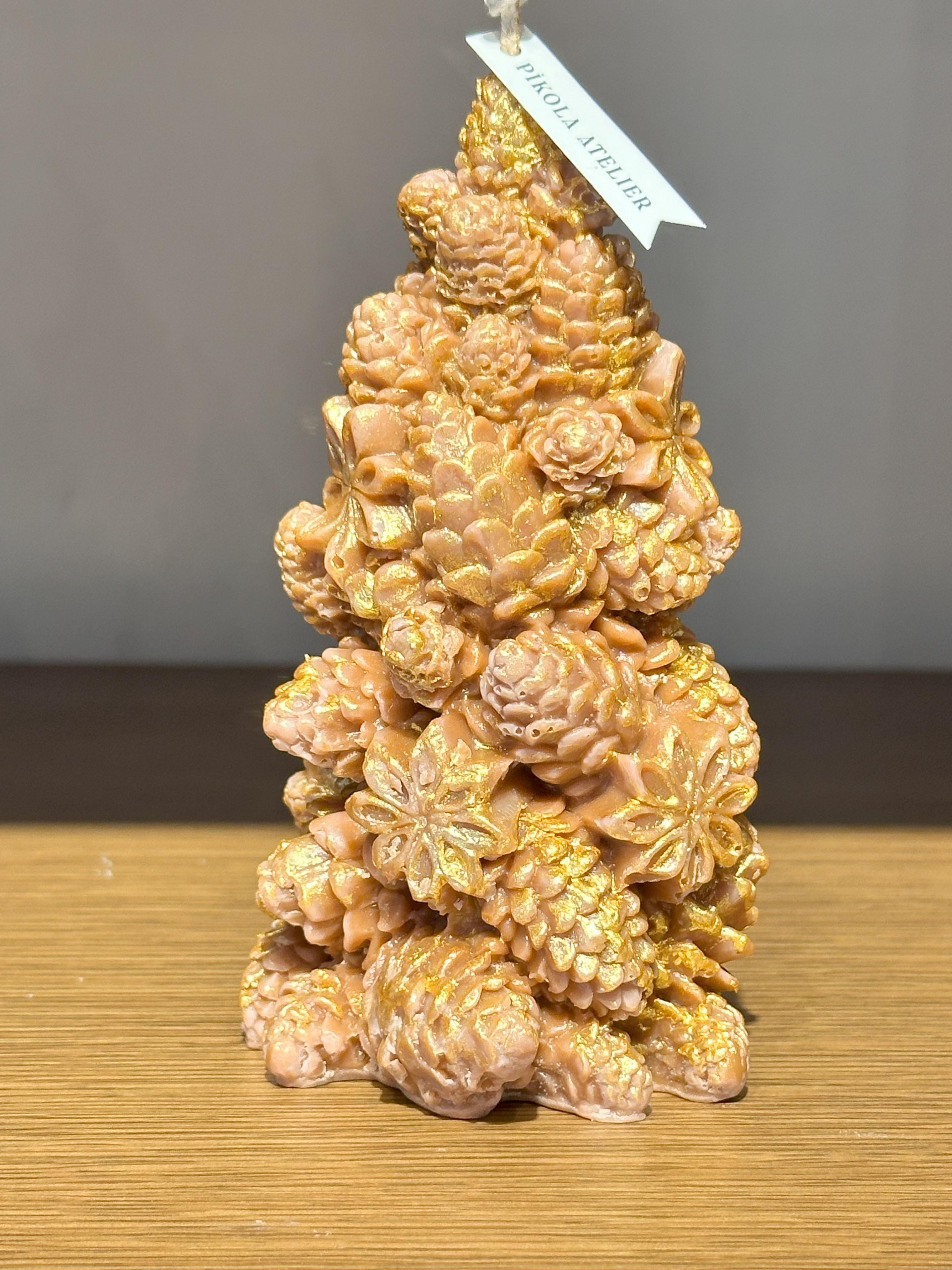 KOZALAKLI ÇAM AĞACI