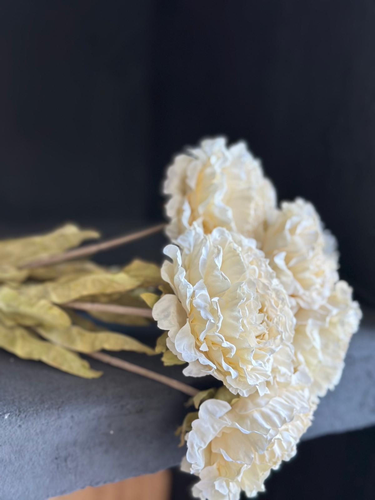 DRY PEONY 63 CM (CREAM)