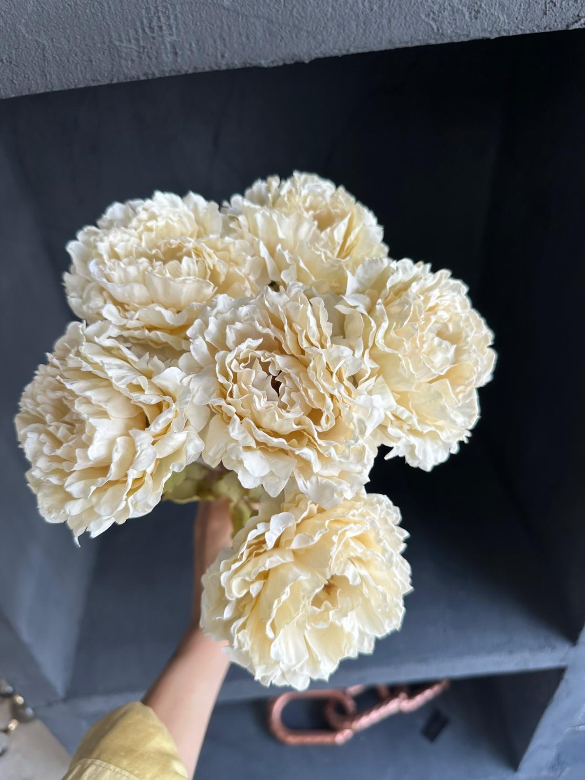 DRY PEONY 63 CM (CREAM)