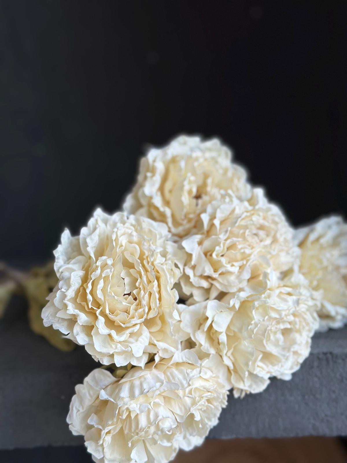 DRY PEONY 63 CM (CREAM)