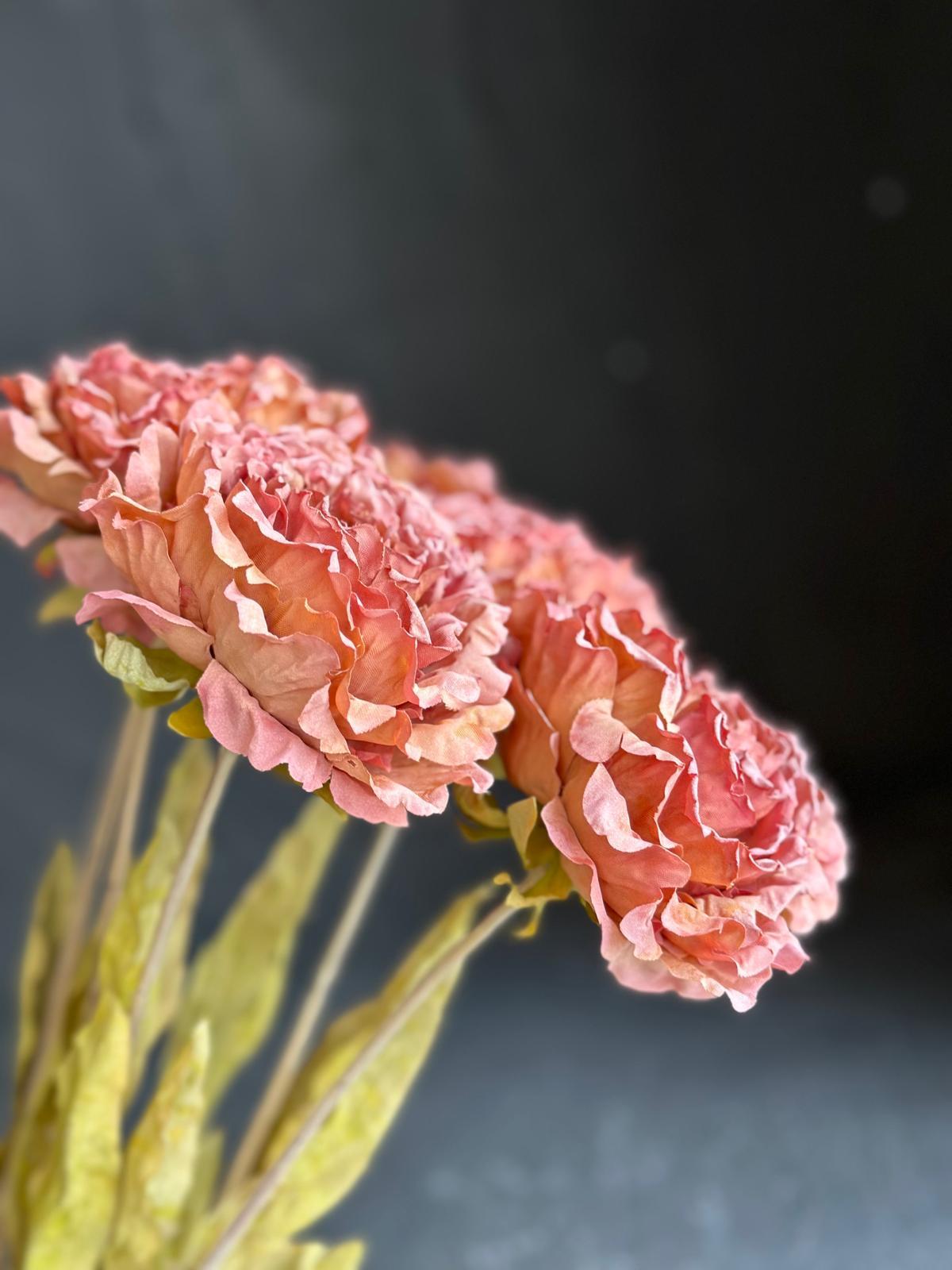 DRY PEONY 63 CM (ROSE PINK)