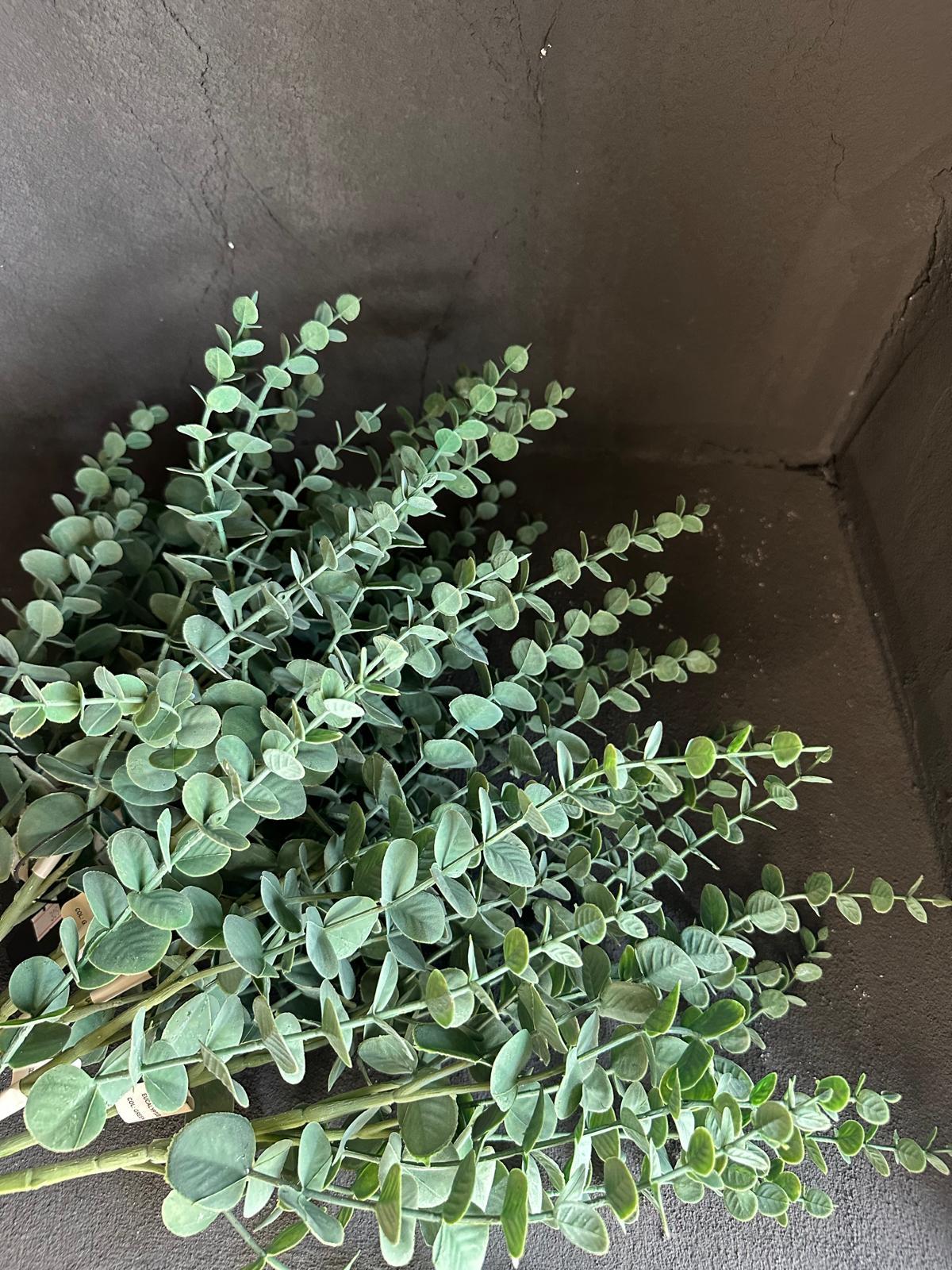OKALİPTUS DAL 75 CM 