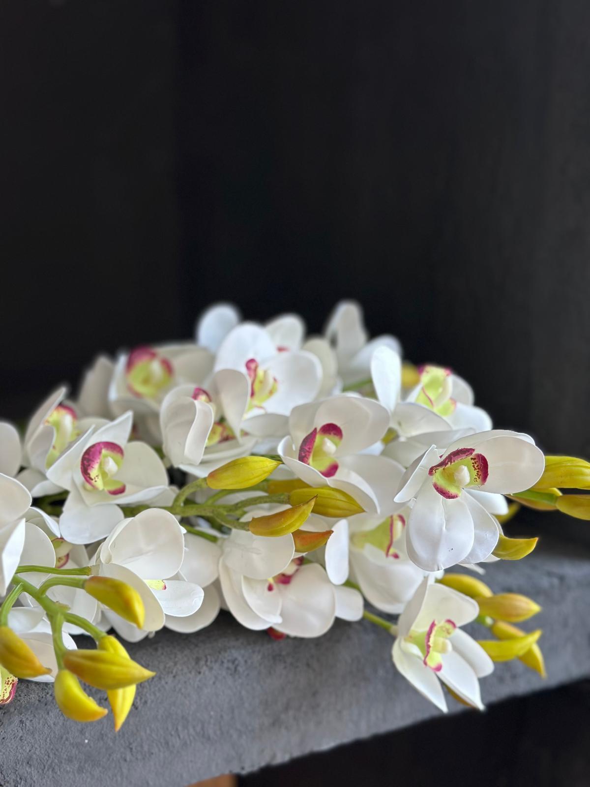 ORKİDE DAL (CREAM)